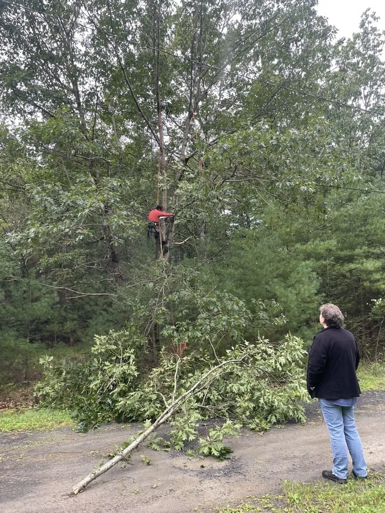 Affordable landscape design for homes in Ravena, NY by Precision Tree Service And Landscaping