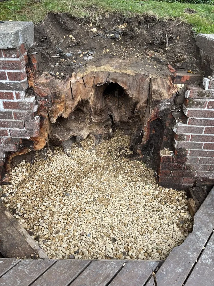 Custom lawn care service for homes in Ravena, NY by Precision Tree Service And Landscaping