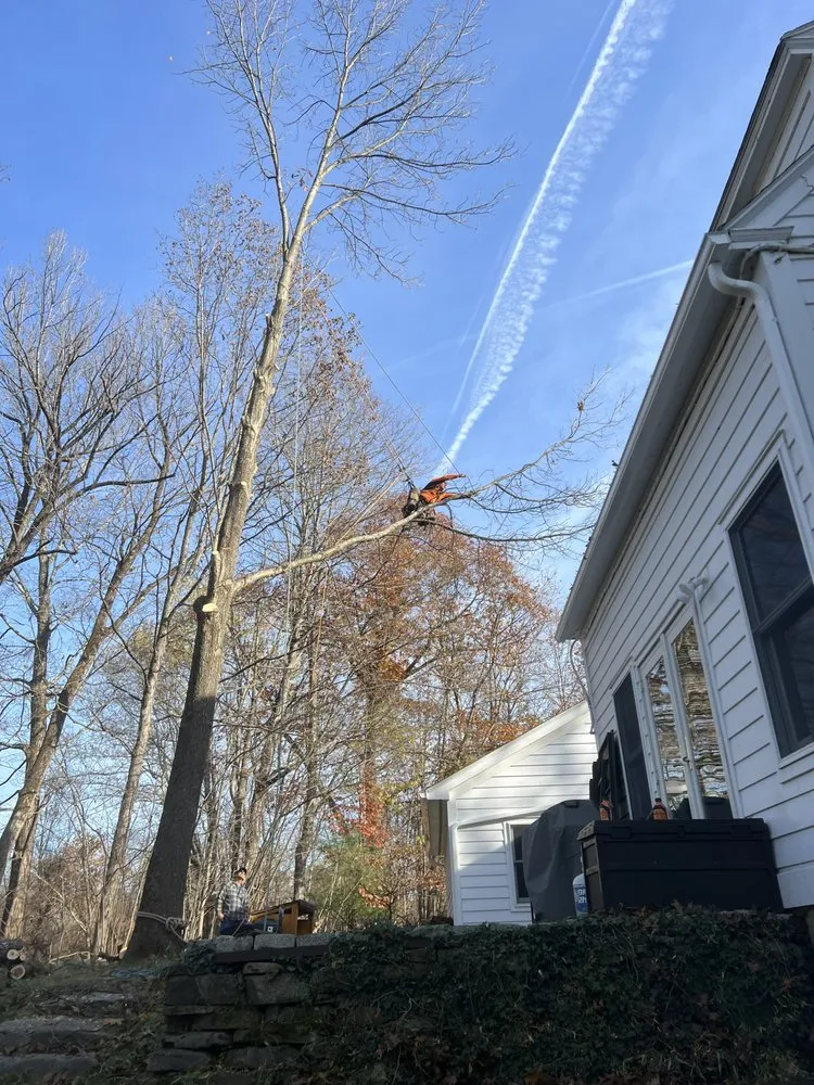 Trusted residential landscaping for beautiful yards across Ravena, NY - Precision Tree Service And Landscaping