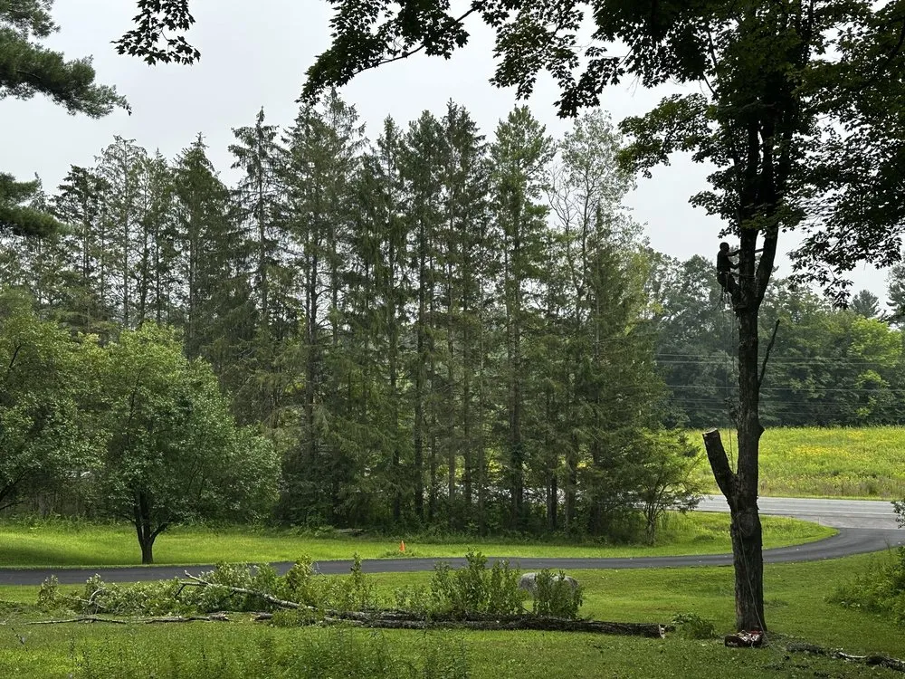 Reliable outdoor landscaping in Ravena, NY by Precision Tree Service And Landscaping