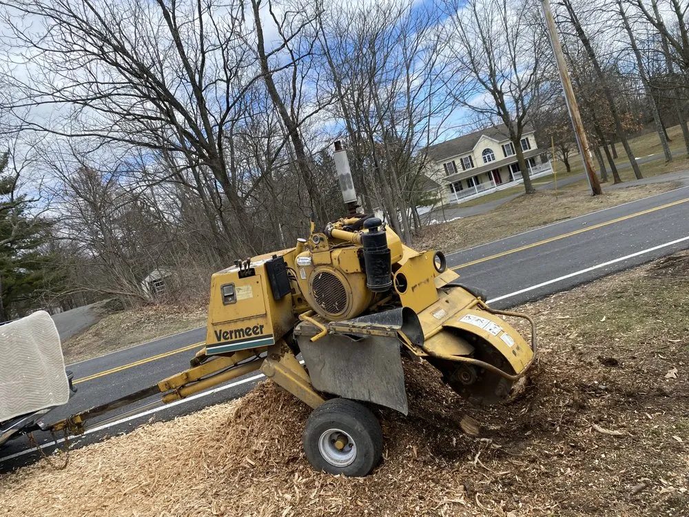 Affordable landscape installation experts serving Ravena, NY - Precision Tree Service And Landscaping