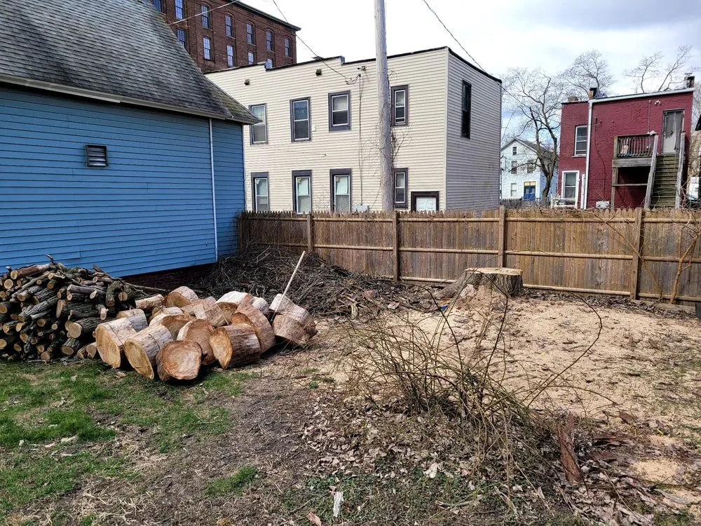 Affordable yard maintenance for beautiful yards in Ravena, NY by Precision Tree Service And Landscaping