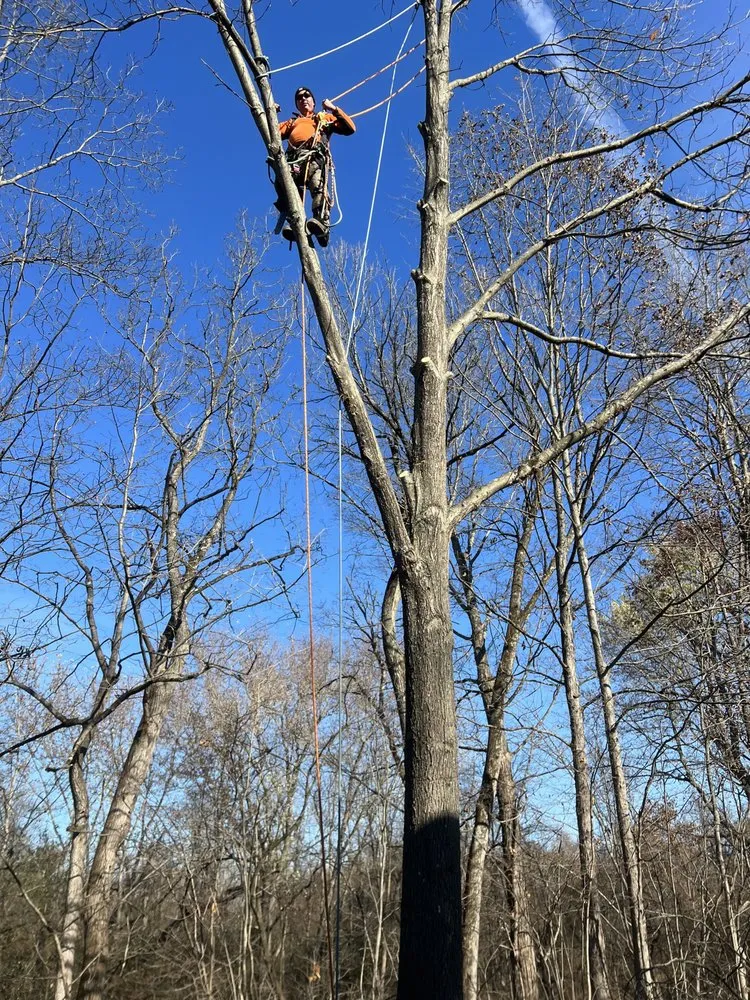 Expert landscape installation experts serving Ravena, NY - Precision Tree Service And Landscaping