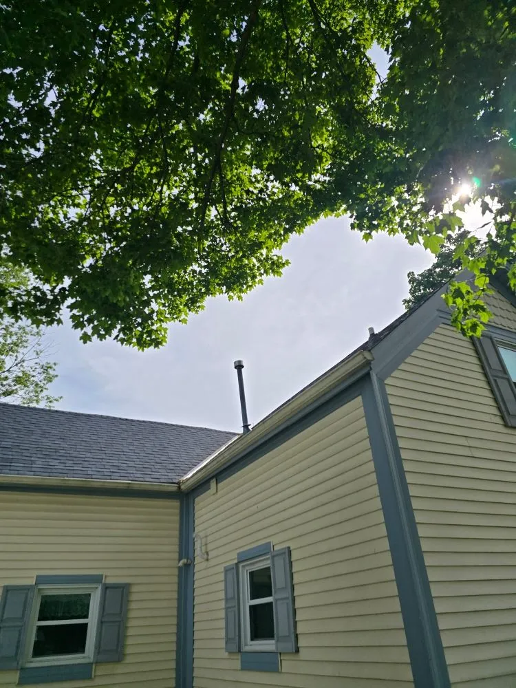 Custom landscape design in Covington, KY by Precision Tree Service