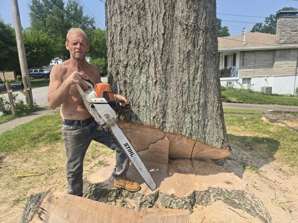 Expert residential landscaping in Covington, KY - Precision Tree Service