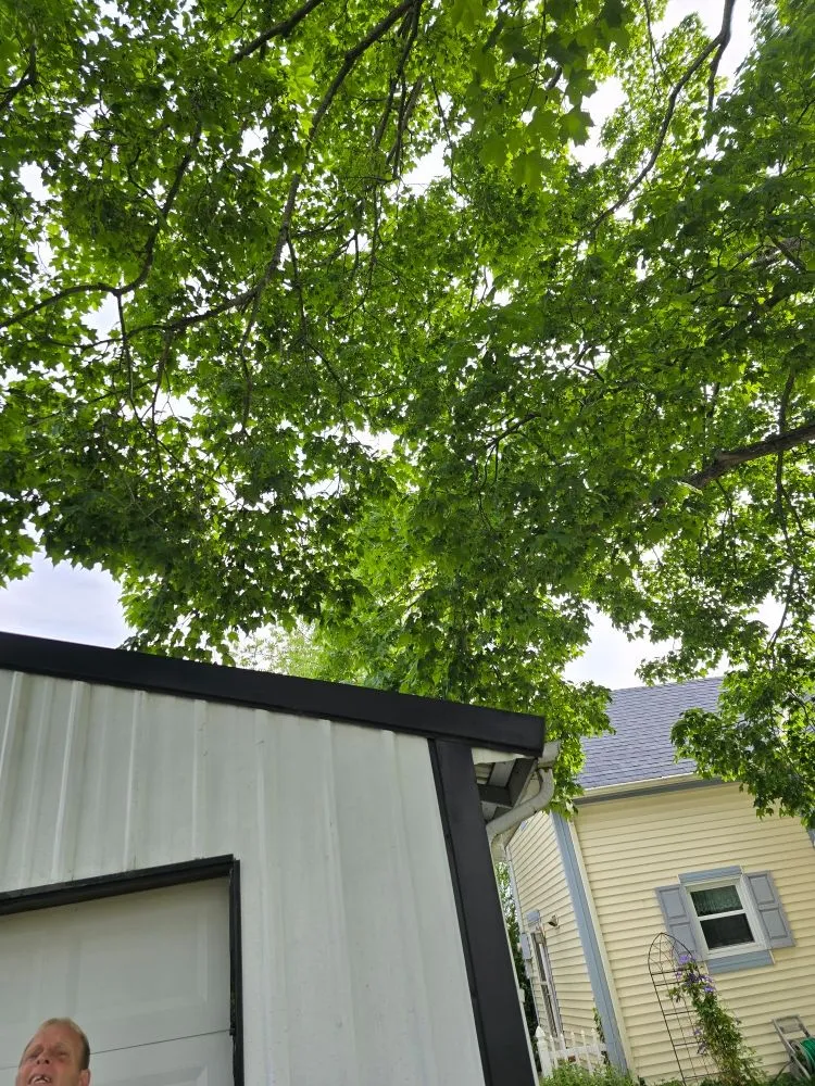 Top-rated garden landscaping in Covington, KY - Precision Tree Service