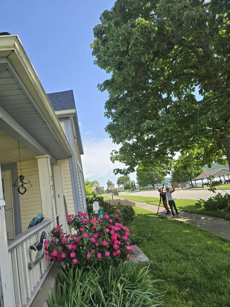 Affordable yard maintenance with custom design in Covington, KY by Precision Tree Service