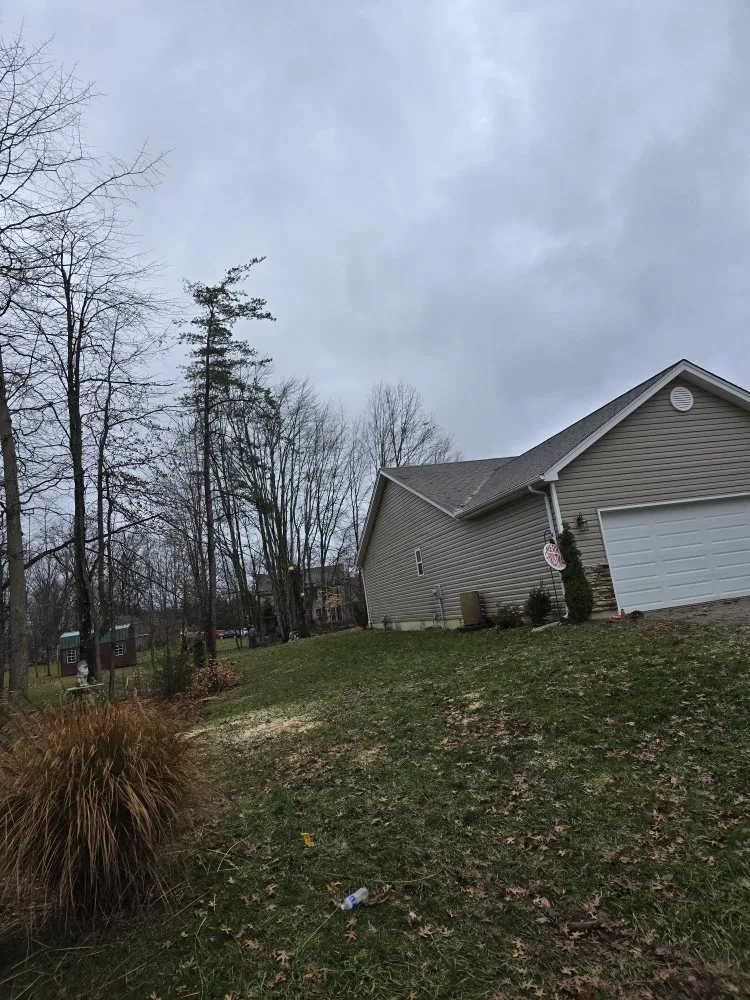 Affordable outdoor landscaping experts serving Covington, KY - Precision Tree Service