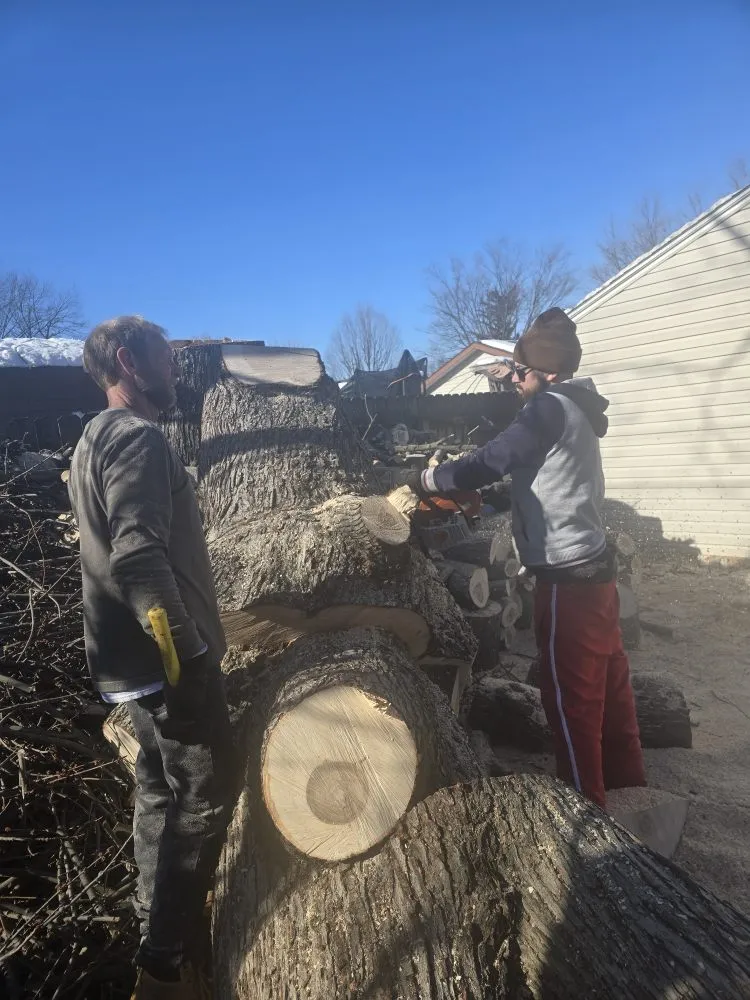 Custom lawn mowing service in Covington, KY - Precision Tree Service