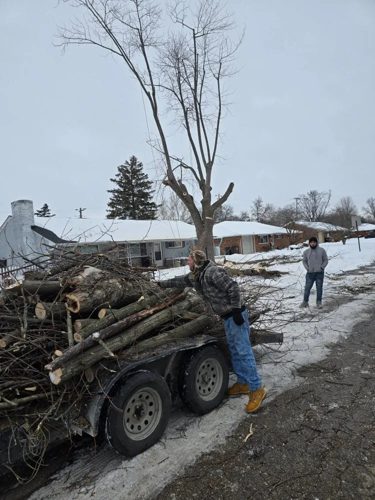 Custom lawn care service in Covington, KY by Precision Tree Service