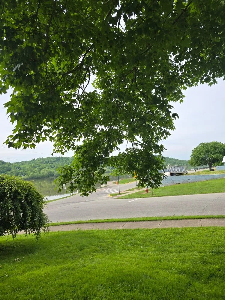 Trusted lawn care service in Covington, KY by Precision Tree Service