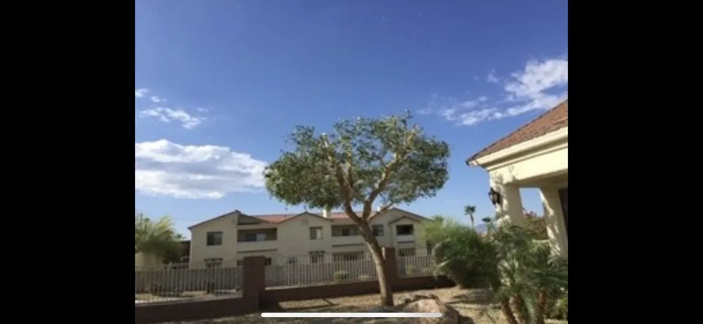 Top-rated residential landscaping experts serving Needles, CA - Precision Tree Service