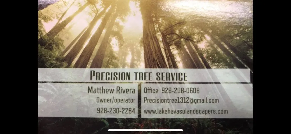 Local landscape design in Needles, CA - Precision Tree Service