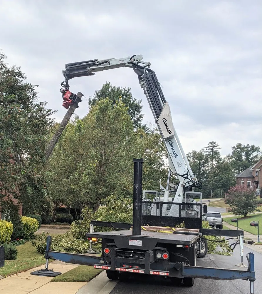 Reliable landscape design experts serving Vestavia, AL - Precision Tree Service