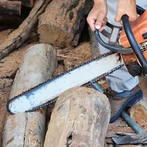 Trusted outdoor landscaping for homes across Vestavia, AL - Precision Tree Service