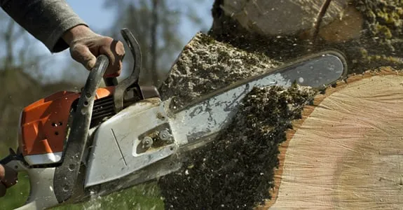 Affordable residential landscaping for outdoor upgrades in Vestavia, AL by Precision Tree Service