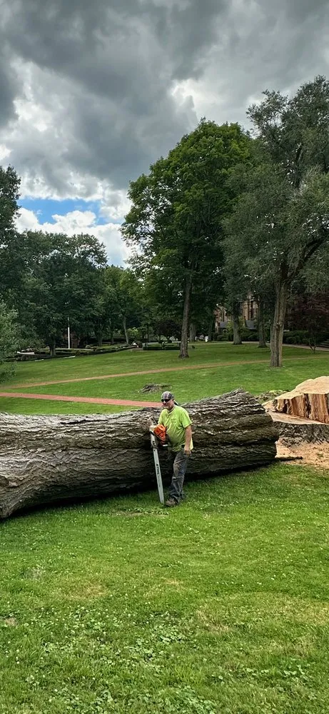 Trusted landscape design for beautiful yards in Wellsburg, WV by Precision Tree Service
