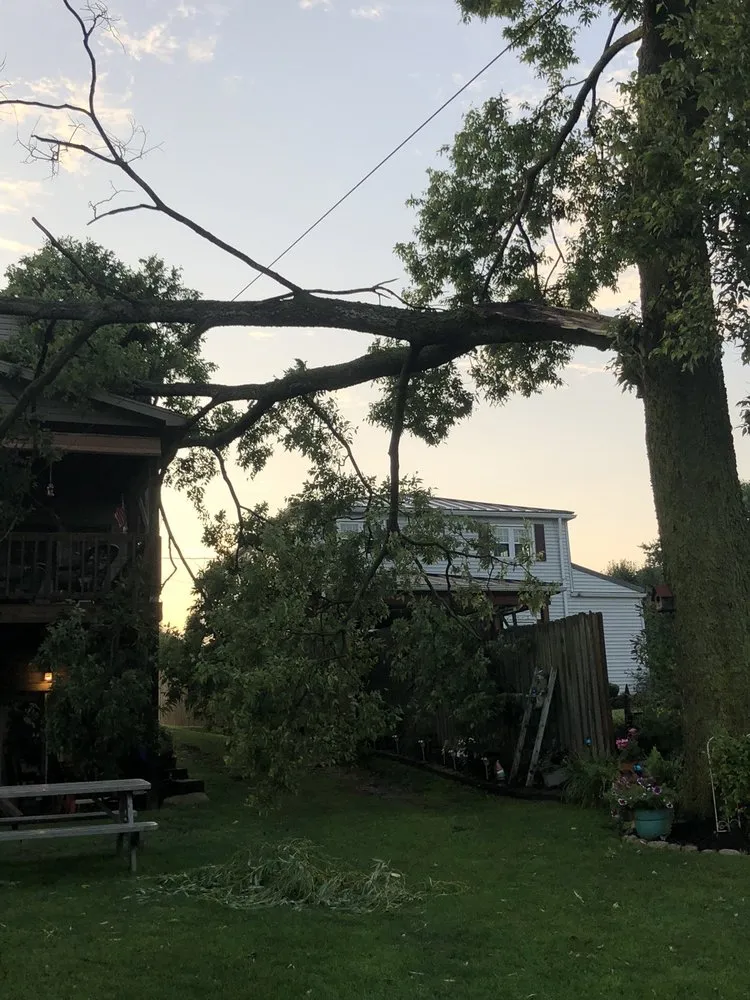 Affordable residential landscaping for beautiful yards across Wellsburg, WV - Precision Tree Service