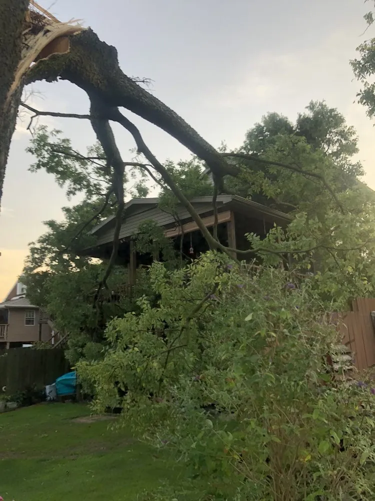 Top-rated landscaping services in Wellsburg, WV by Precision Tree Service