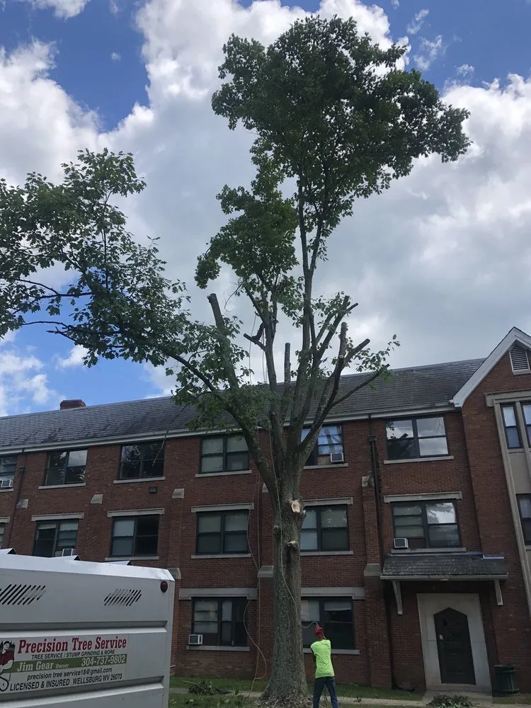 Trusted landscaping services experts serving Wellsburg, WV - Precision Tree Service