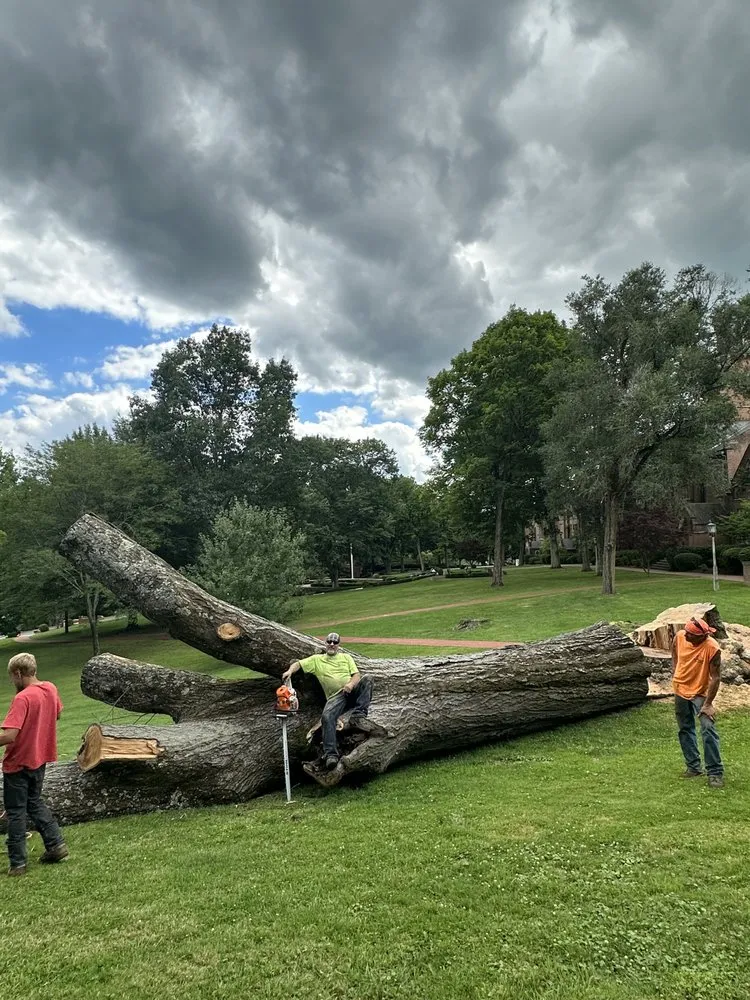 Local lawn mowing service for homes across Wellsburg, WV - Precision Tree Service