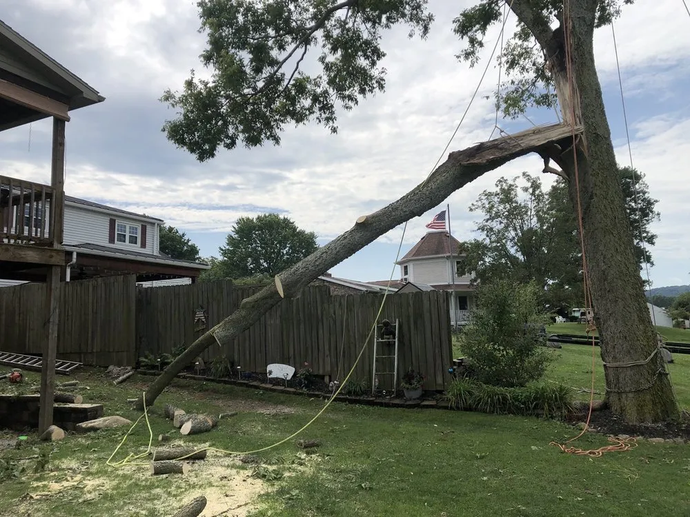 Top-rated landscape design for year-round maintenance in Wellsburg, WV by Precision Tree Service