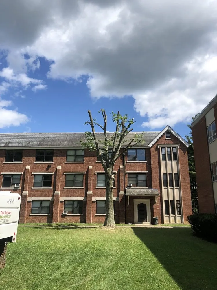 Custom outdoor landscaping in Wellsburg, WV - Precision Tree Service