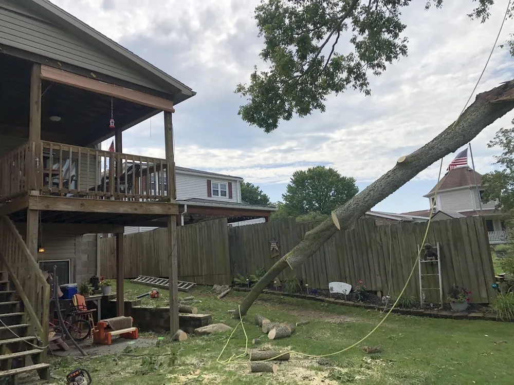 Expert lawn mowing service for year-round maintenance in Wellsburg, WV by Precision Tree Service