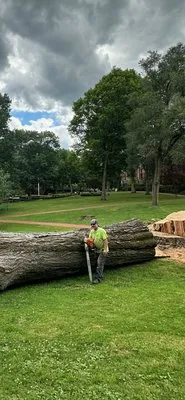 Precision Tree Service