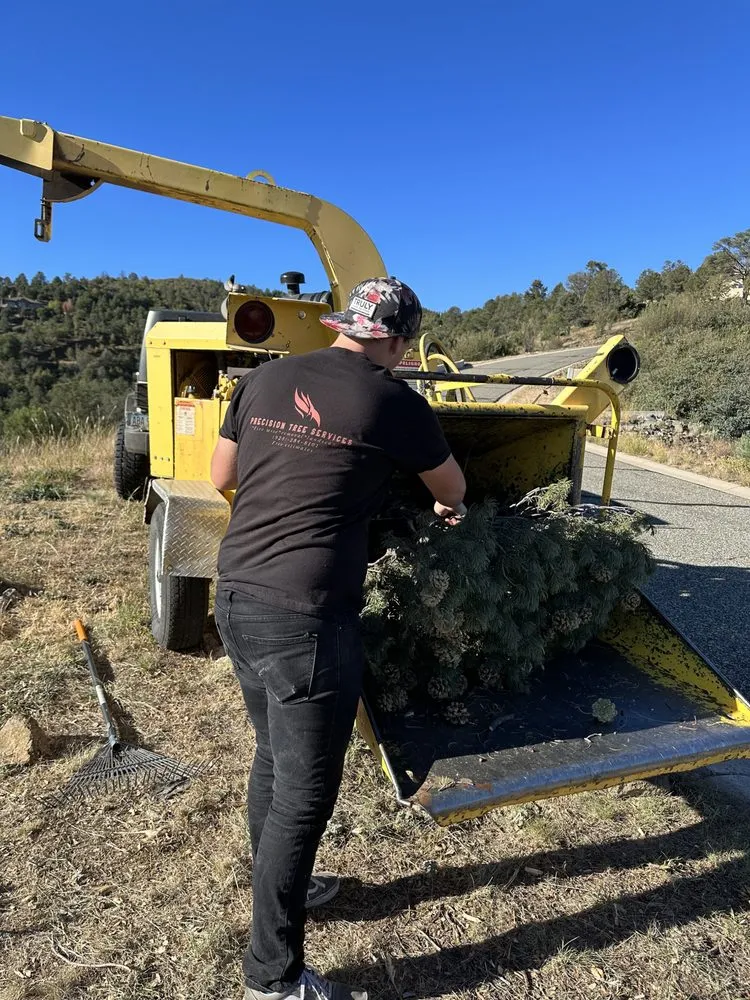 Custom landscape design experts serving Prescott Valley, AZ - Precision Tree Services