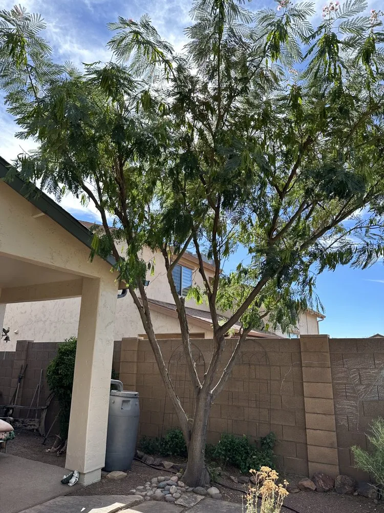 Trusted lawn mowing service with custom design in Prescott Valley, AZ by Precision Tree Services