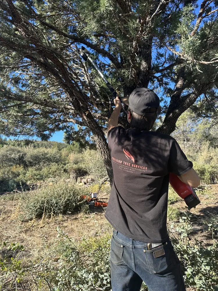 Expert lawn mowing service experts serving Prescott Valley, AZ - Precision Tree Services