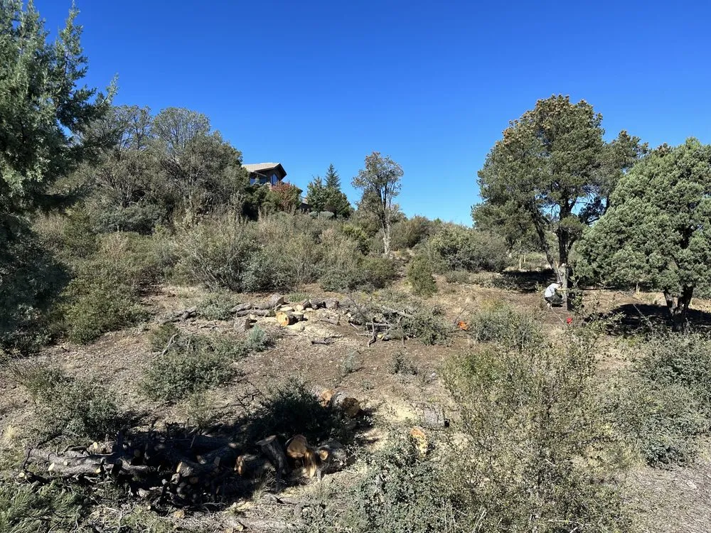 Reliable landscaping services for outdoor upgrades across Prescott Valley, AZ - Precision Tree Services