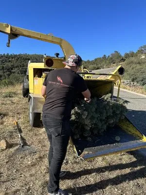 Precision Tree Services Logo