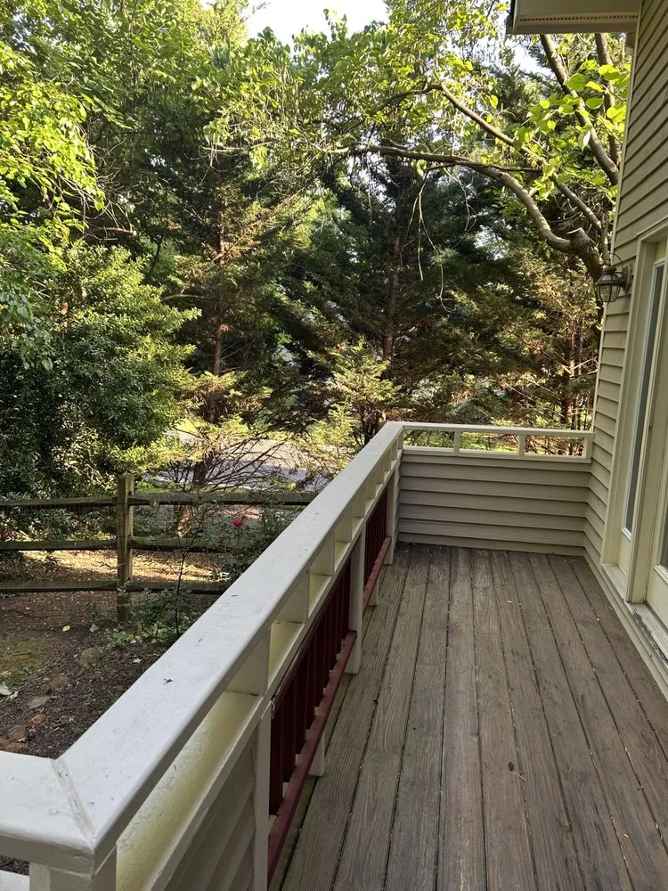 Affordable yard cleanup service in Virginia, VA by Precision Tree Services