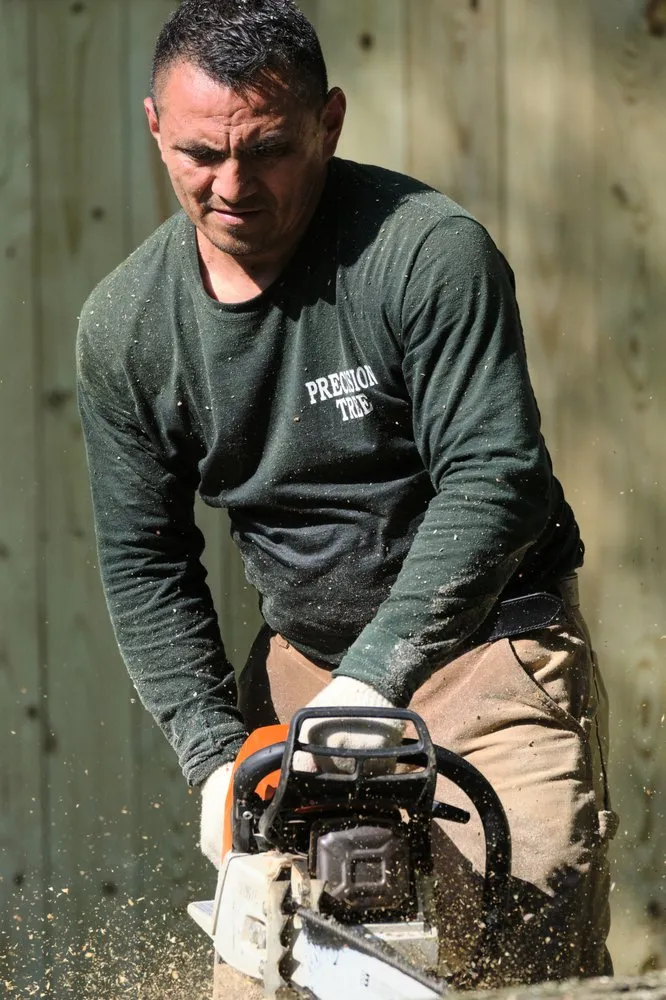 Top-rated residential landscaping with custom design across Virginia, VA - Precision Tree Services