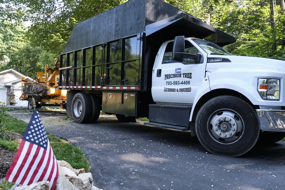 Professional landscape design in Virginia, VA by Precision Tree Services
