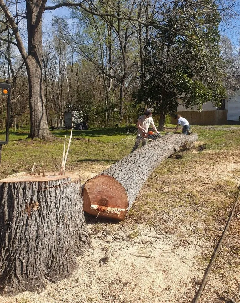 Professional landscaping services in Rock Hill, SC by Precision Trees