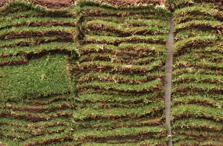 Top-rated landscaping services in Florence, KY by Precision Trim Landscape