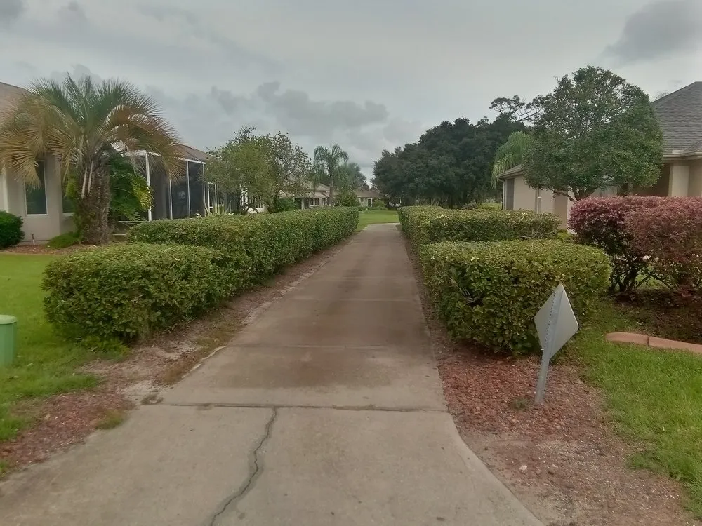 Custom landscape design near you in Ocklawaha, FL by Precision Trimming