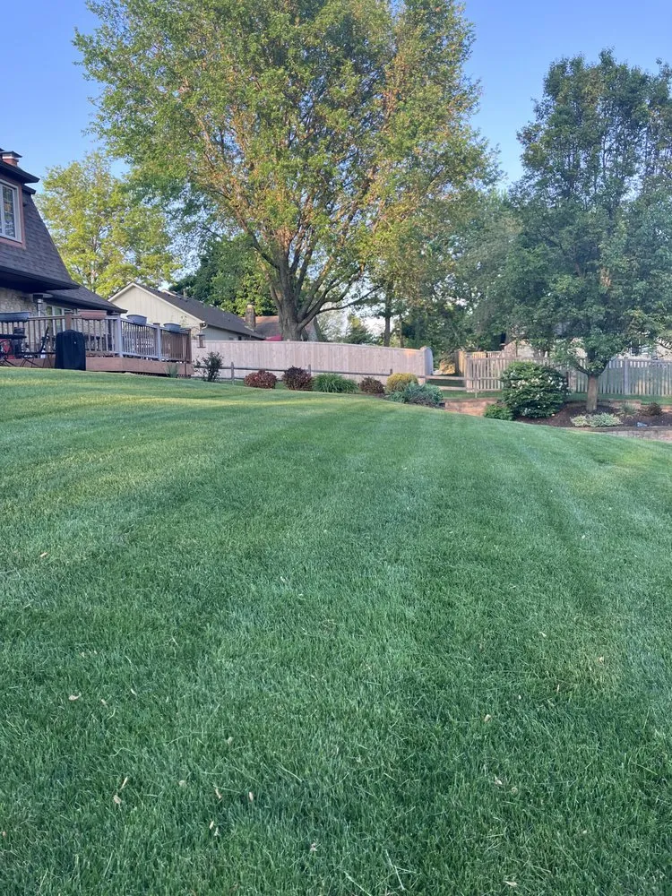 Professional lawn mowing service experts serving Carmel, IN - Precision Turf