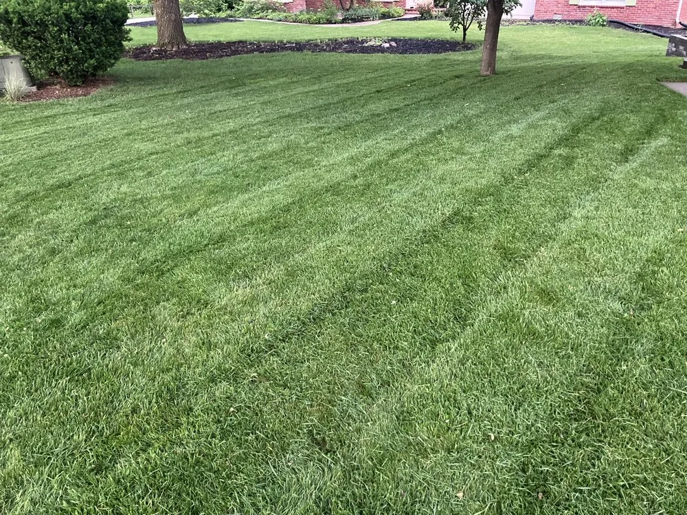 Trusted residential landscaping in Carmel, IN by Precision Turf