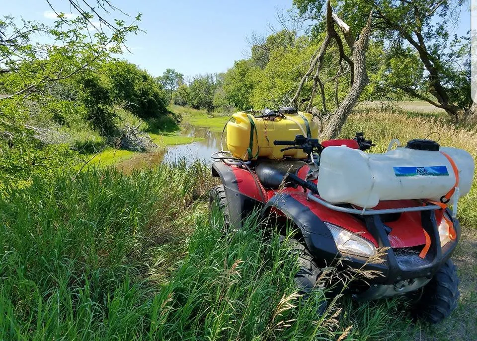 Expert outdoor landscaping in Mitchell, SD - Precision Weed Spraying