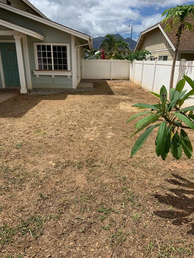 Expert landscape design in Waianae, HI - Precision Yard & Tree Services