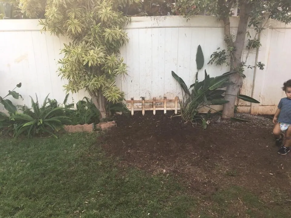 Expert outdoor landscaping in Waianae, HI by Precision Yard & Tree Services