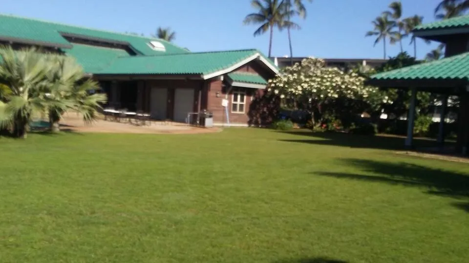 Local residential landscaping experts serving Waianae, HI - Precision Yard & Tree Services