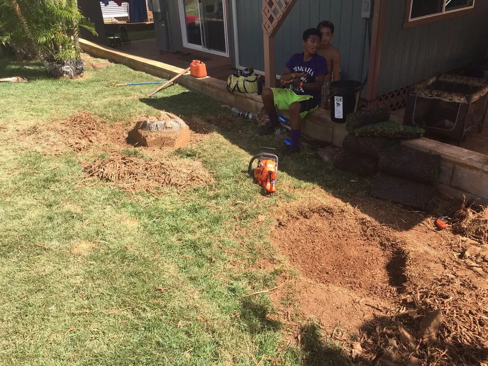 Affordable lawn mowing service for outdoor upgrades across Waianae, HI - Precision Yard & Tree Services