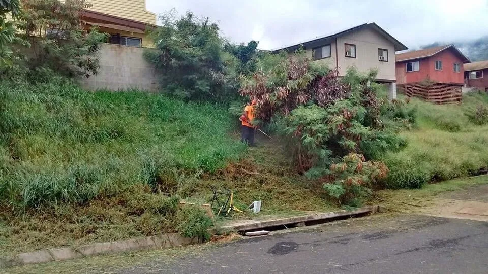 Professional outdoor landscaping experts serving Waianae, HI - Precision Yard & Tree Services
