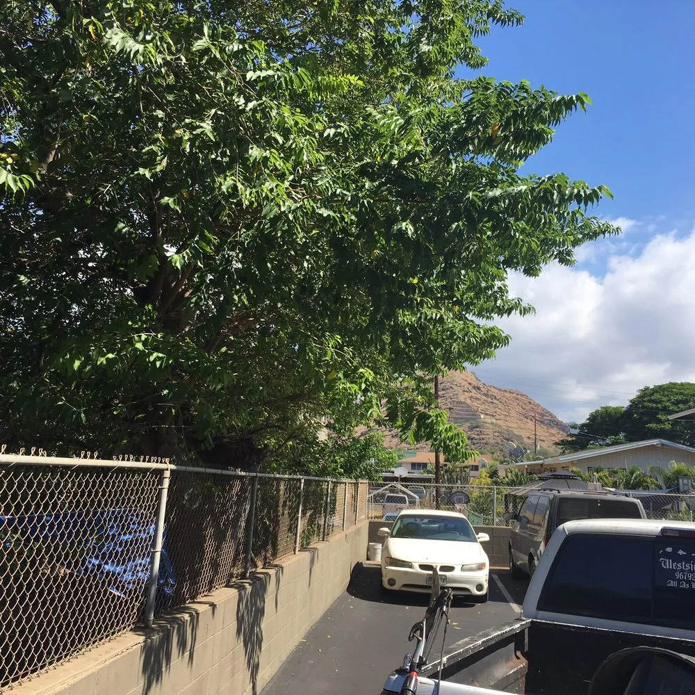 Affordable landscape design experts serving Waianae, HI - Precision Yard & Tree Services