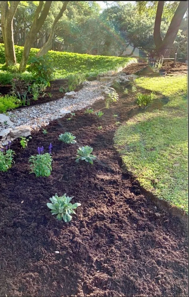 Custom lawn care service in Georgetown, TX - Precision Yard Builds